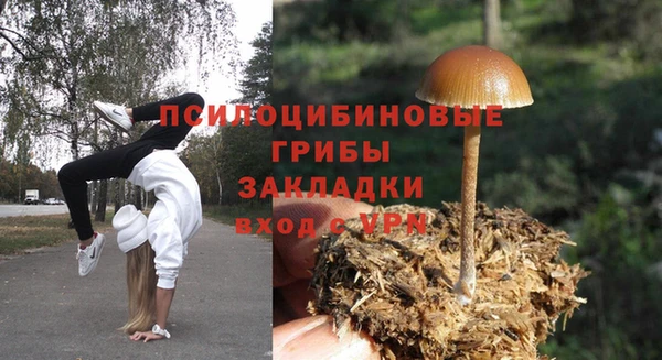 бутират Михайловка