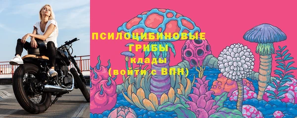 apvp Михайлов