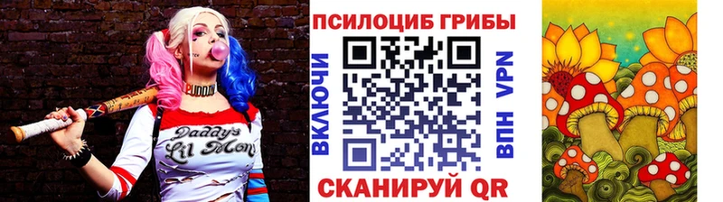 Псилоцибиновые грибы Psilocybe наркотики Орлов